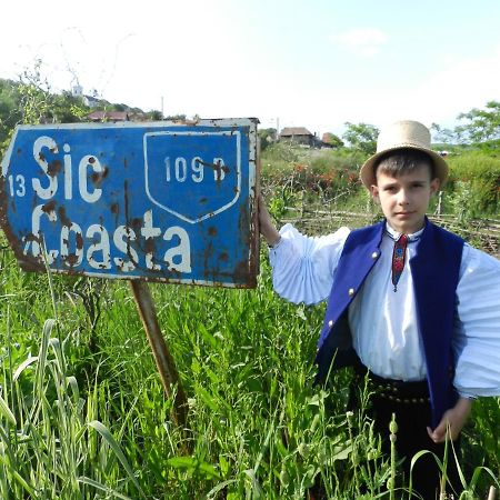 Csipkeszeg Bed & Breakfast Sic / Szek Romania Exteriér fotografie