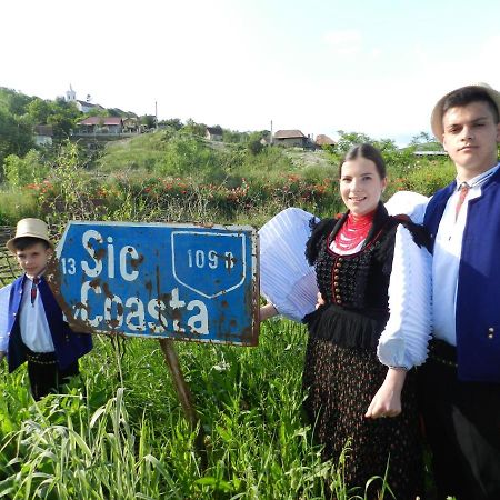 Csipkeszeg Bed & Breakfast Sic / Szek Romania Exteriér fotografie