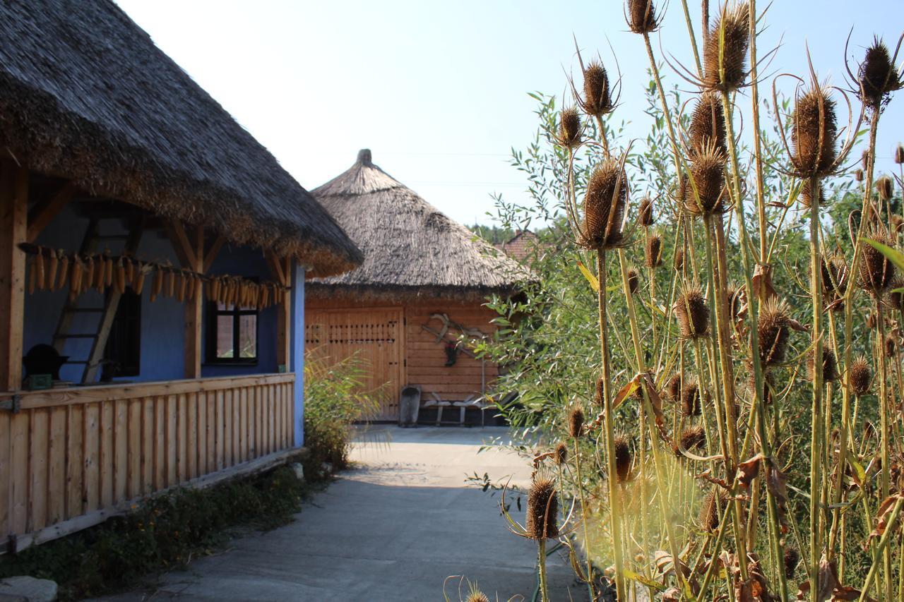 Csipkeszeg Bed & Breakfast Sic / Szek Romania Exteriér fotografie